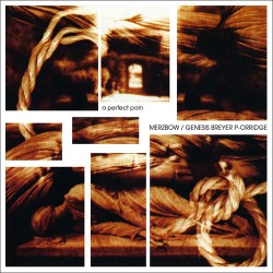 Merzbow & Genesis Breyer P-Orridge: A Perfect Pain LP